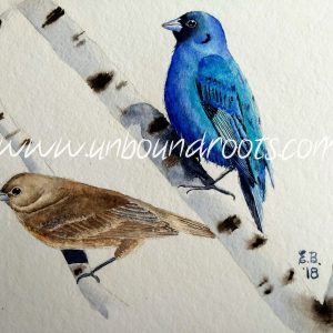 "A Pair Of Indigo Buntings"