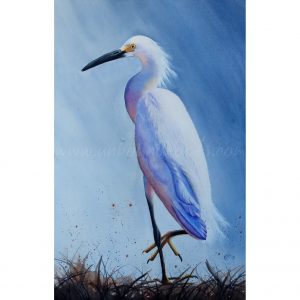 "Snowy Egret"