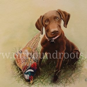 hunting dog in watercolor