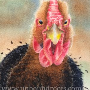 ruffled chicken in watercolor
