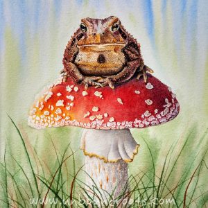toad on toadstool in watercolor