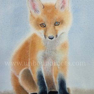 fox kit in watercolor