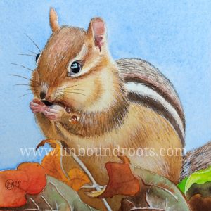chipmunk in watercolor