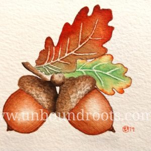 fall acorns in watercolor